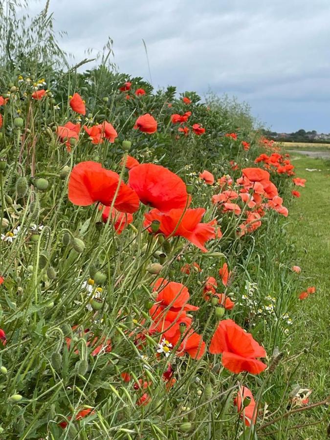 فندق Roe Deer Meadow At Carr House Farm سكرابورو المظهر الخارجي الصورة